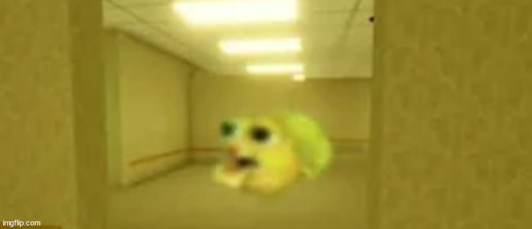 where am I | image tagged in shitpost status | made w/ Imgflip meme maker