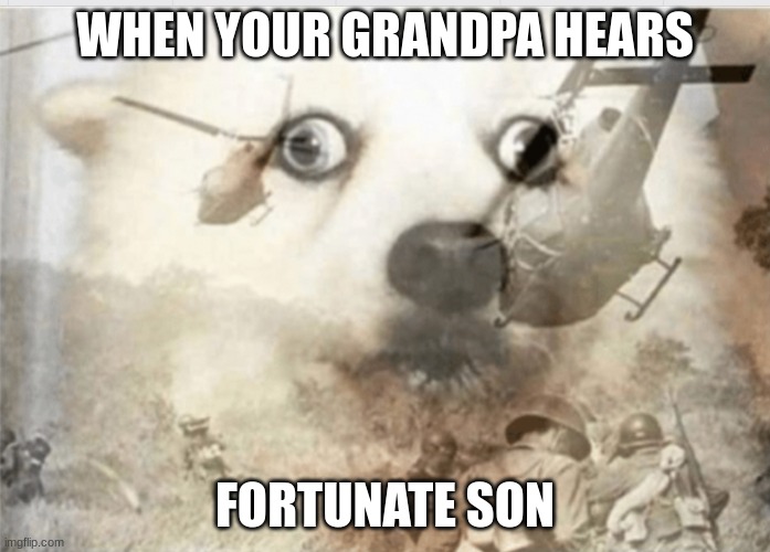 Veitnam memories | WHEN YOUR GRANDPA HEARS; FORTUNATE SON | image tagged in ptsd dog | made w/ Imgflip meme maker