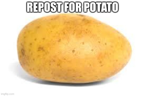 Potato | REPOST FOR POTATO | image tagged in potato | made w/ Imgflip meme maker