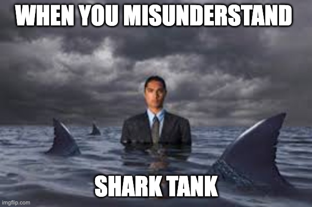 funny | WHEN YOU MISUNDERSTAND; SHARK TANK | image tagged in swim in shark tank | made w/ Imgflip meme maker