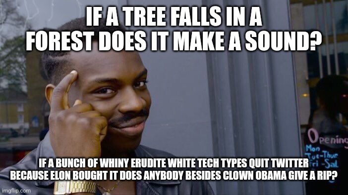 Free speech means free speech | IF A TREE FALLS IN A FOREST DOES IT MAKE A SOUND? IF A BUNCH OF WHINY ERUDITE WHITE TECH TYPES QUIT TWITTER BECAUSE ELON BOUGHT IT DOES ANYBODY BESIDES CLOWN OBAMA GIVE A RIP? | image tagged in twitter birds says,elon musk,obama no listen,public speaking,total drama,stupid liberals | made w/ Imgflip meme maker