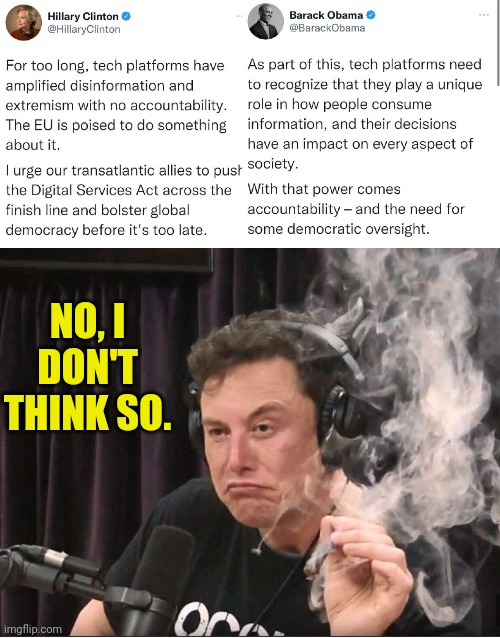 More censorship means more freedom...nah | NO, I DON'T THINK SO. | image tagged in elon musk smoking a joint | made w/ Imgflip meme maker