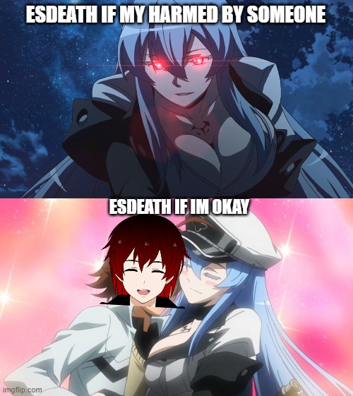 ESDEATH IF MY HARMED BY SOMEONE ESDEATH IF IM OKAY | made w/ Imgflip meme maker