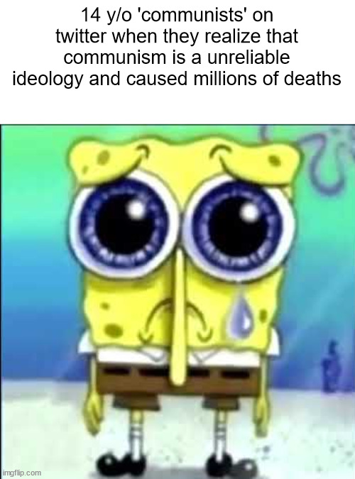 fr??? | 14 y/o 'communists' on twitter when they realize that communism is a unreliable ideology and caused millions of deaths | image tagged in shitpost status | made w/ Imgflip meme maker