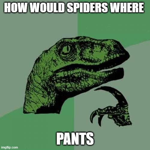 Philosoraptor | HOW WOULD SPIDERS WHERE; PANTS | image tagged in memes,philosoraptor | made w/ Imgflip meme maker