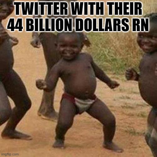 Twitter | TWITTER WITH THEIR 44 BILLION DOLLARS RN | image tagged in memes,third world success kid | made w/ Imgflip meme maker