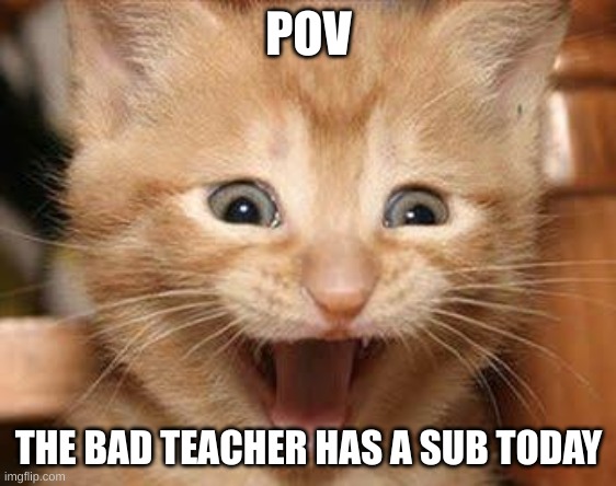 School 3 | POV; THE BAD TEACHER HAS A SUB TODAY | image tagged in memes,excited cat,school | made w/ Imgflip meme maker