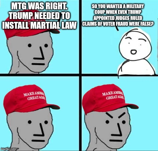 Yet all the idiot trumpers believe the big lie when his own AG said it was pure BS | SO YOU WANTED A MILITARY COUP WHEN EVEN TRUMP APPOINTED JUDGES RULED CLAIMS OF VOTER FRAUD WERE FALSE? MTG WAS RIGHT. TRUMP NEEDED TO INSTALL MARTIAL LAW | image tagged in maga npc | made w/ Imgflip meme maker