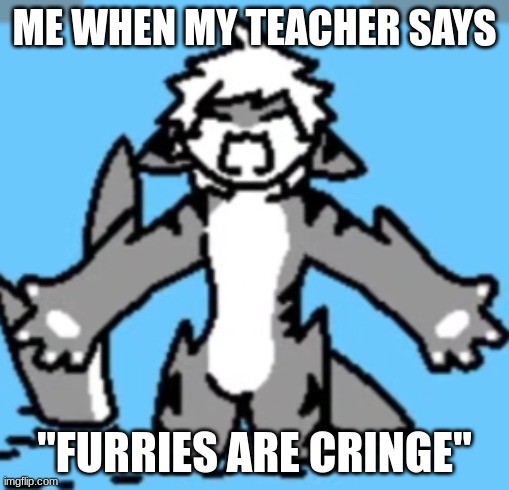 Tiger Shark rage | ME WHEN MY TEACHER SAYS; "FURRIES ARE CRINGE" | image tagged in tiger shark rage | made w/ Imgflip meme maker