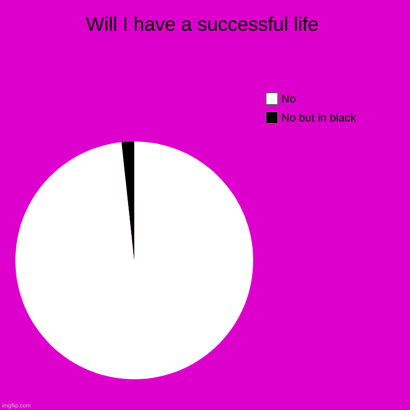 Successful life | Will I have a successful life | No but in black, No | image tagged in charts,pie charts | made w/ Imgflip chart maker