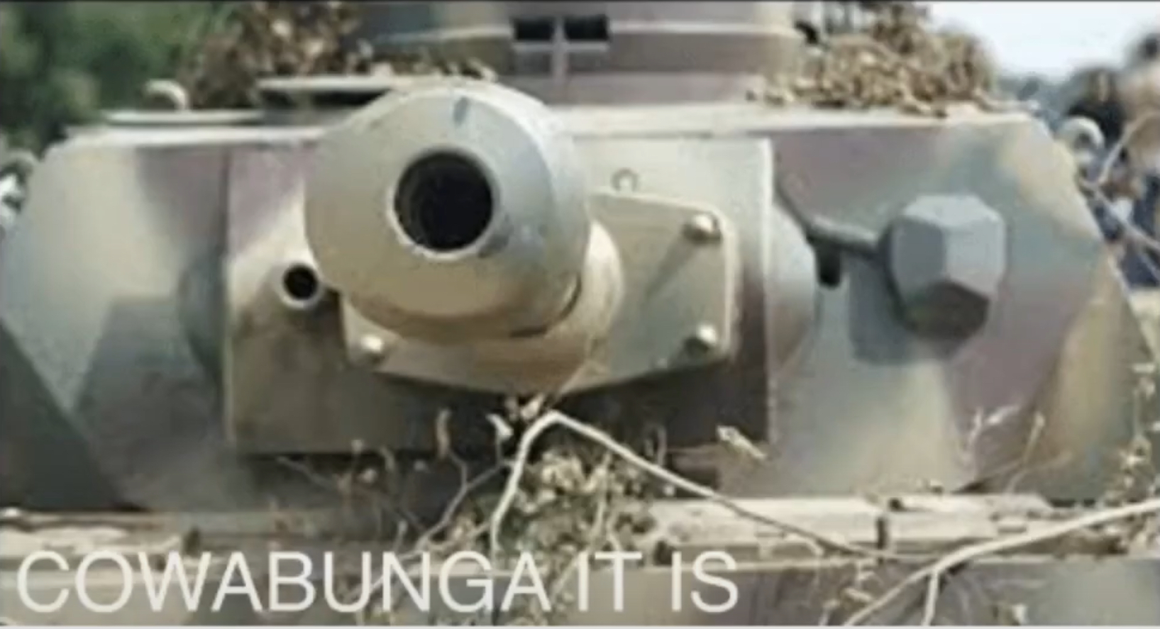 High Quality Panzer cowabunga it is Blank Meme Template