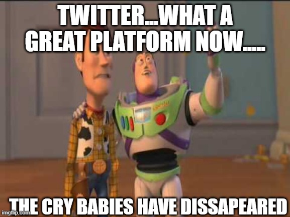 TWITTER...WHAT A GREAT PLATFORM NOW..... THE CRY BABIES HAVE DISSAPEARED | image tagged in twitter meme,snowflake meme,snowflakes,twitter | made w/ Imgflip meme maker