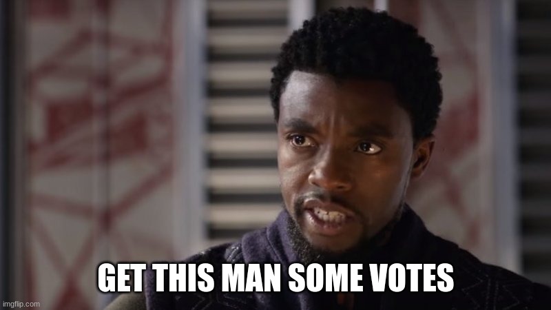 Black Panther : Get this man...  | GET THIS MAN SOME VOTES | image tagged in black panther get this man | made w/ Imgflip meme maker