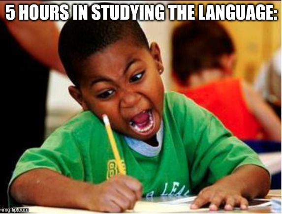 STUDY | 5 HOURS IN STUDYING THE LANGUAGE: | image tagged in study | made w/ Imgflip meme maker