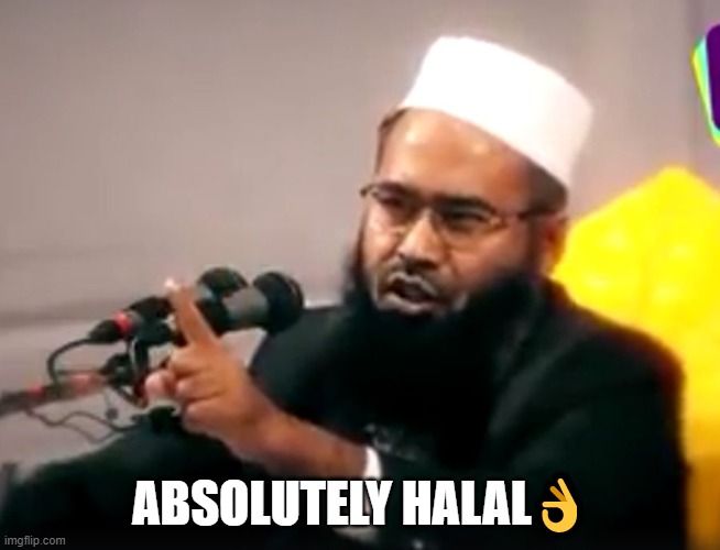 haram-halal | ABSOLUTELY HALAL? | image tagged in haram-halal | made w/ Imgflip meme maker