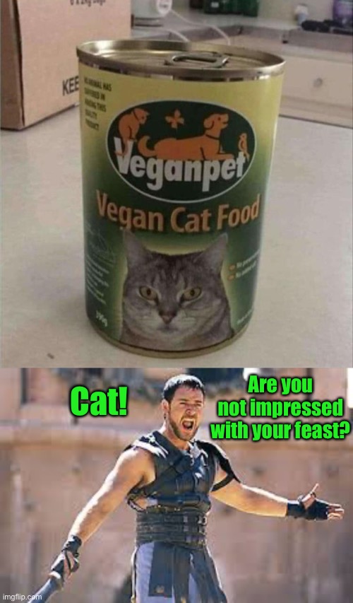 Cat looks kinda pissed. | Are you not impressed with your feast? Cat! | image tagged in are you not entertained,cat food,memes,funny | made w/ Imgflip meme maker