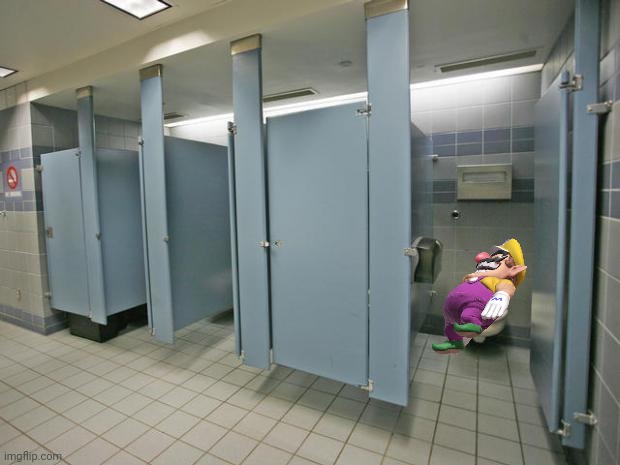 Wario dies by a massive shit | image tagged in bathroom stall | made w/ Imgflip meme maker