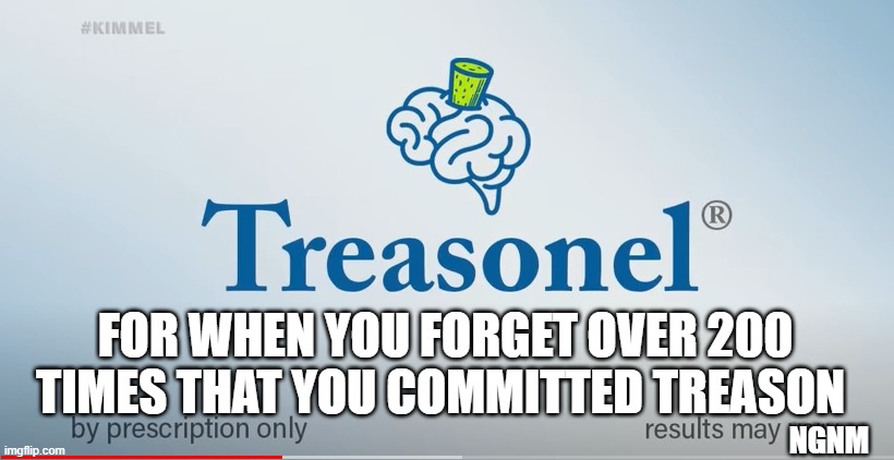 treasonel |  FOR WHEN YOU FORGET OVER 200 TIMES THAT YOU COMMITTED TREASON; NGNM | image tagged in politics,funny | made w/ Imgflip meme maker