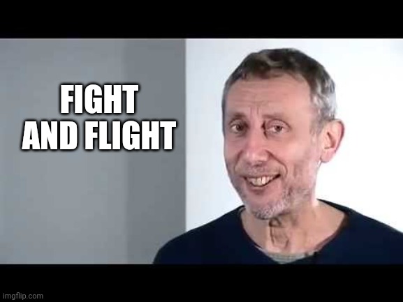 noice | FIGHT AND FLIGHT | image tagged in noice | made w/ Imgflip meme maker