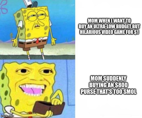 Ain't making sense! | MOM WHEN I WANT TO BUY AN ULTRA-LOW BUDGET BUT HILARIOUS VIDEO GAME FOR $1; MOM SUDDENLY BUYING AN $800 PURSE THAT'S TOO SMOL | image tagged in spongebob wallet,hypocrisy,purse,video games | made w/ Imgflip meme maker