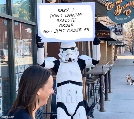Storm Trooper Proposition | BABY, I DON'T WANNA EXECUTE ORDER 66...JUST ORDER 69 | image tagged in stormtrooper with sign | made w/ Imgflip meme maker