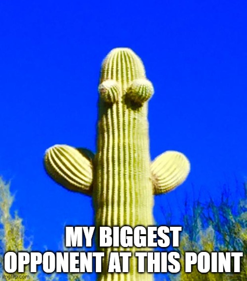 Huggy Cactus  | MY BIGGEST OPPONENT AT THIS POINT | image tagged in huggy cactus | made w/ Imgflip meme maker