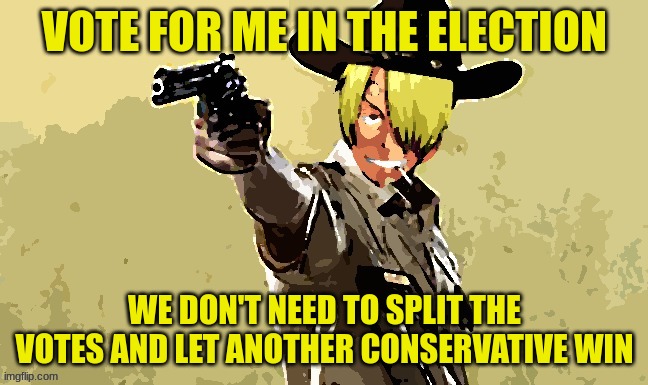 Vote for me | VOTE FOR ME IN THE ELECTION; WE DON'T NEED TO SPLIT THE VOTES AND LET ANOTHER CONSERVATIVE WIN | image tagged in fidelsmooker,split,votes,split the votes | made w/ Imgflip meme maker