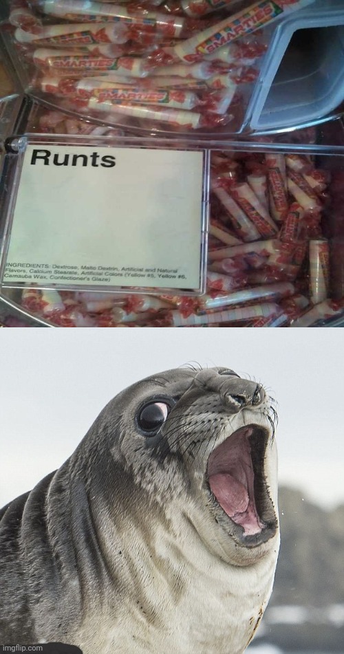 Runts | image tagged in gasp seal,runts,smarties,you had one job,memes,candy | made w/ Imgflip meme maker