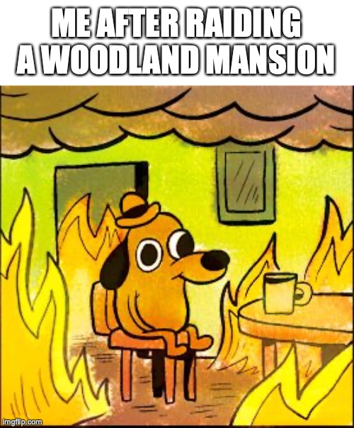 burn it to the ground | ME AFTER RAIDING  A WOODLAND MANSION | image tagged in this is fine,funny,memes,fun,minecraft | made w/ Imgflip meme maker