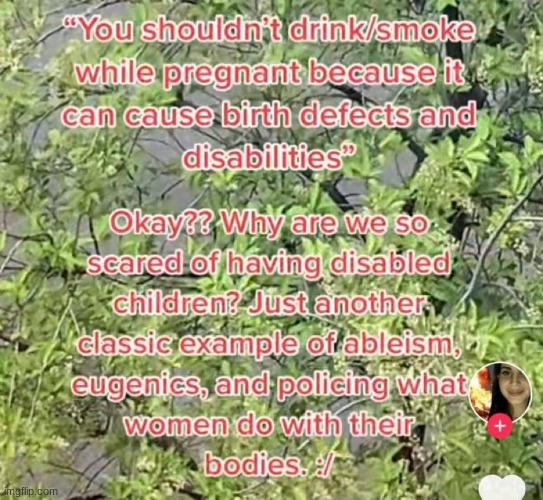 2022 its ableist to not want your child to have a birth defect | made w/ Imgflip meme maker