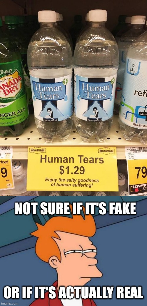 NOT GONNA TRY IT | NOT SURE IF IT'S FAKE; OR IF IT'S ACTUALLY REAL | image tagged in memes,futurama fry,water,tears,fake | made w/ Imgflip meme maker