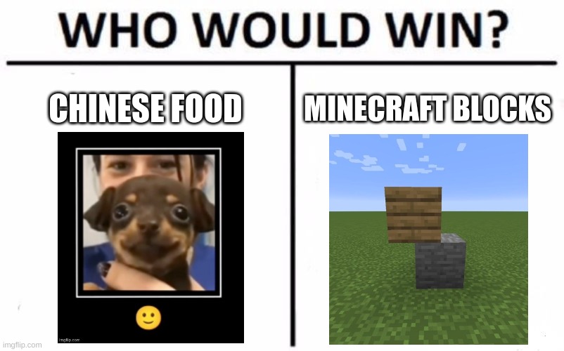 Who Would Win? Meme | CHINESE FOOD; MINECRAFT BLOCKS | image tagged in memes,who would win | made w/ Imgflip meme maker