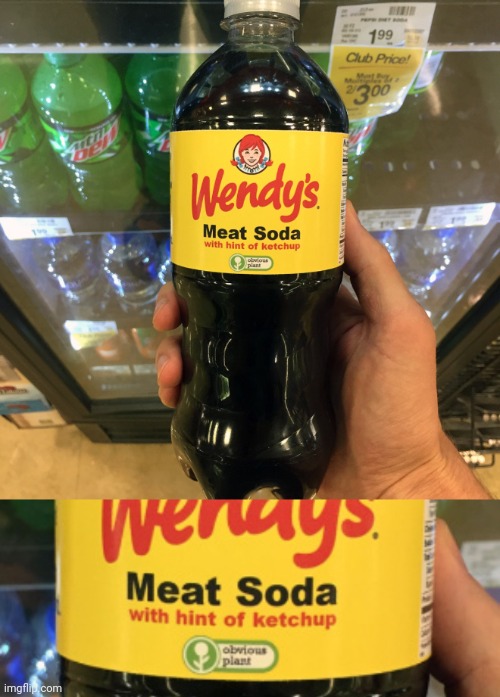 WENDY'S GOT THE WRONG MEATS | image tagged in wendy's,cola,soda,fake | made w/ Imgflip meme maker