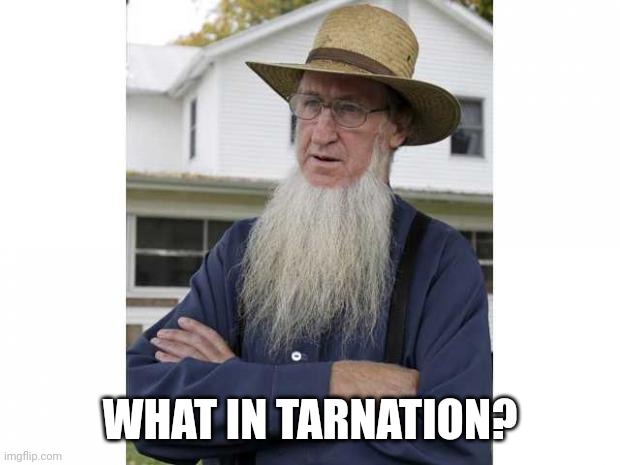 Amish Style | WHAT IN TARNATION? | image tagged in amish style | made w/ Imgflip meme maker