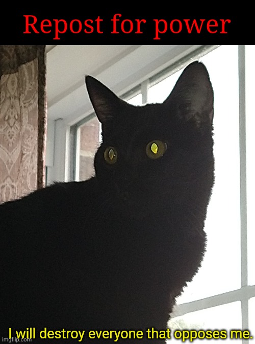 Repost for power; I will destroy everyone that opposes me. | made w/ Imgflip meme maker