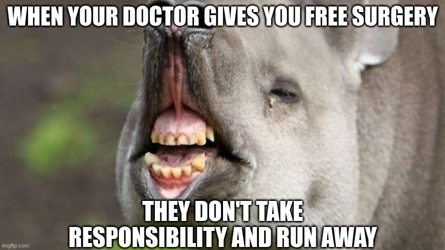 Definitely the best doctor |  WHEN YOUR DOCTOR GIVES YOU FREE SURGERY; THEY DON'T TAKE RESPONSIBILITY AND RUN AWAY | image tagged in plastic surgery | made w/ Imgflip meme maker