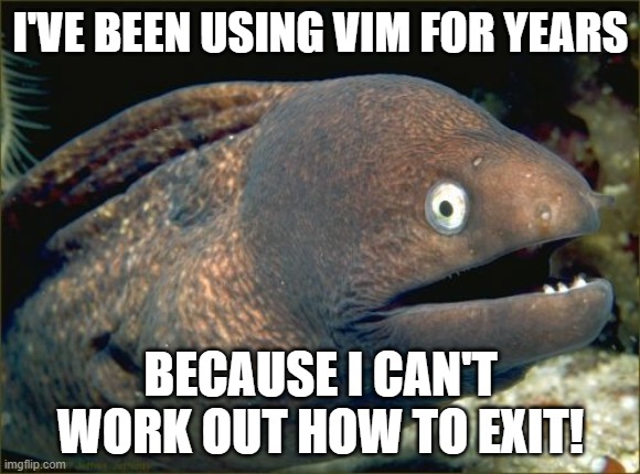 Bad Joke Eel Meme | I'VE BEEN USING VIM FOR YEARS; BECAUSE I CAN'T WORK OUT HOW TO EXIT! | image tagged in memes,bad joke eel,ProgrammerHumor | made w/ Imgflip meme maker