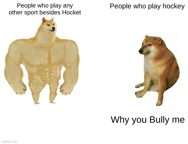 Buff Doge vs. Cheems Meme | People who play any other sport besides Hocket; People who play hockey; Why you Bully me | image tagged in memes,buff doge vs cheems | made w/ Imgflip meme maker