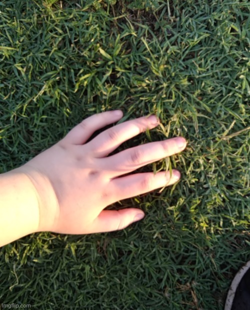 fat hand | made w/ Imgflip meme maker