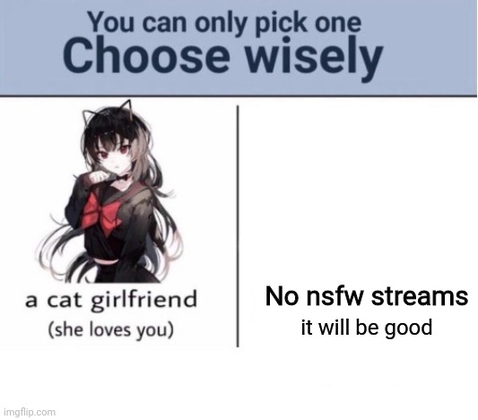 Hmmm... | No nsfw streams; it will be good | image tagged in choose wisely | made w/ Imgflip meme maker