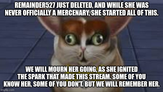 REMAINDER527 JUST DELETED, AND WHILE SHE WAS NEVER OFFICIALLY A MERCENARY, SHE STARTED ALL OF THIS. WE WILL MOURN HER GOING, AS SHE IGNITED THE SPARK THAT MADE THIS STREAM. SOME OF YOU KNOW HER, SOME OF YOU DON'T. BUT WE WILL REMEMBER HER. | made w/ Imgflip meme maker