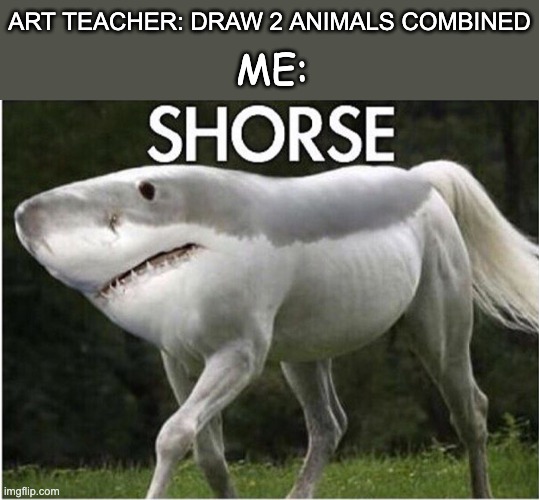 Shorse | ART TEACHER: DRAW 2 ANIMALS COMBINED; ME: | image tagged in shark,horse,memes,animals,art teacher | made w/ Imgflip meme maker