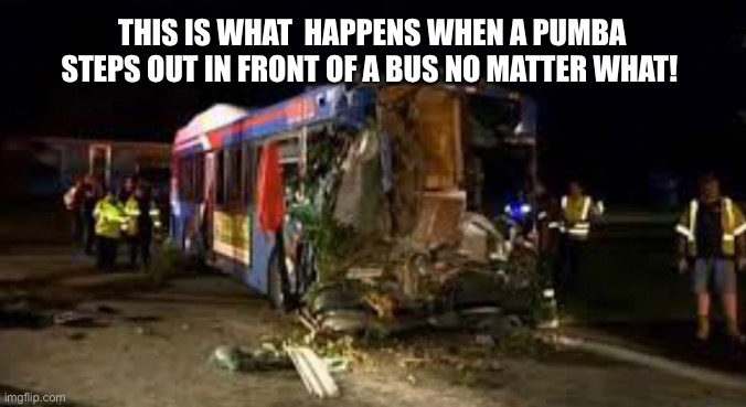 THIS IS WHAT  HAPPENS WHEN A PUMBA STEPS OUT IN FRONT OF A BUS NO MATTER WHAT! | made w/ Imgflip meme maker