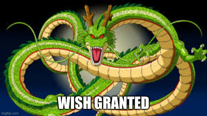 DBZ Wish not granted | WISH GRANTED | image tagged in dbz wish not granted | made w/ Imgflip meme maker