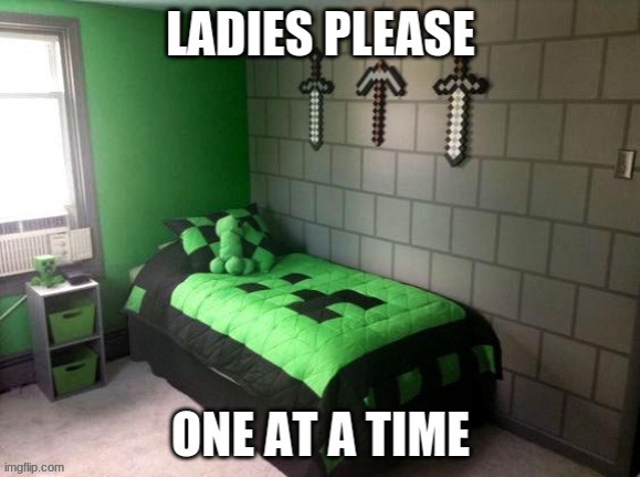 pls only one | image tagged in the ladies man | made w/ Imgflip meme maker