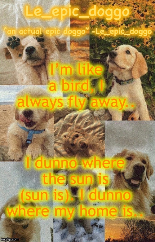 Doggo temp by doggo. Wait what that’s confusing | I’m like a bird, I always fly away.. I dunno where the sun is (sun is). I dunno where my home is.. | image tagged in doggo temp by doggo wait what that s confusing | made w/ Imgflip meme maker