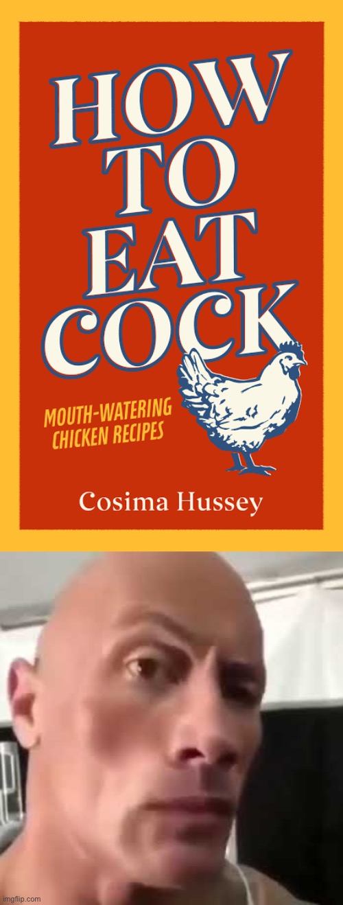 image tagged in the rock eyebrows | made w/ Imgflip meme maker