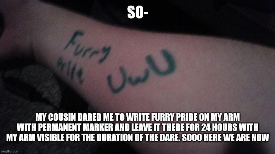 My cousin knows I never back down from a dare lol plus this isn't even a dare to me ngl XD | SO-; MY COUSIN DARED ME TO WRITE FURRY PRIDE ON MY ARM WITH PERMANENT MARKER AND LEAVE IT THERE FOR 24 HOURS WITH MY ARM VISIBLE FOR THE DURATION OF THE DARE. SOOO HERE WE ARE NOW | image tagged in furry,dares | made w/ Imgflip meme maker