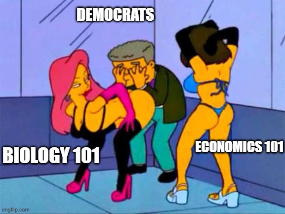 Willful Ignorance | DEMOCRATS; ECONOMICS 101; BIOLOGY 101 | image tagged in smithers gay,democrats,biology,economics | made w/ Imgflip meme maker