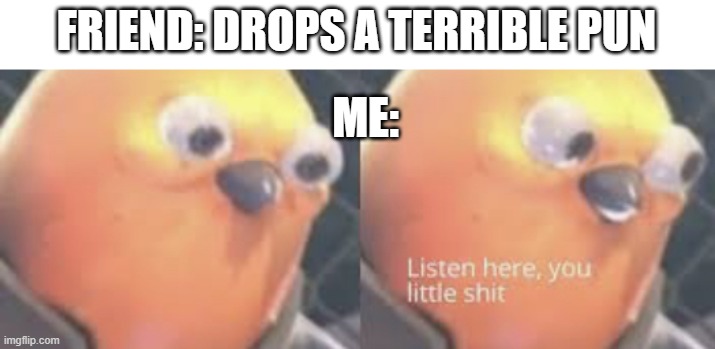 Puns, fun to make, painful to listen too. |  FRIEND: DROPS A TERRIBLE PUN; ME: | image tagged in listen here you little shit bird,bad pun | made w/ Imgflip meme maker